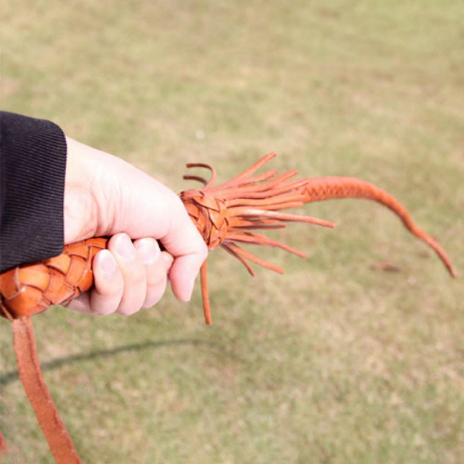 야외용 PU 가죽 승마용 채찍 75cm 승마 훈련용 채 - Riding Crop Dressage 리뷰 및 가격